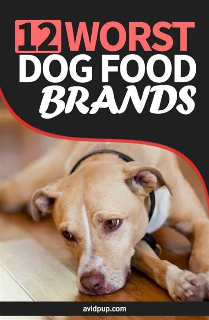 12WorstDogFoodBrandstoAvoidthisYear Avid Pup