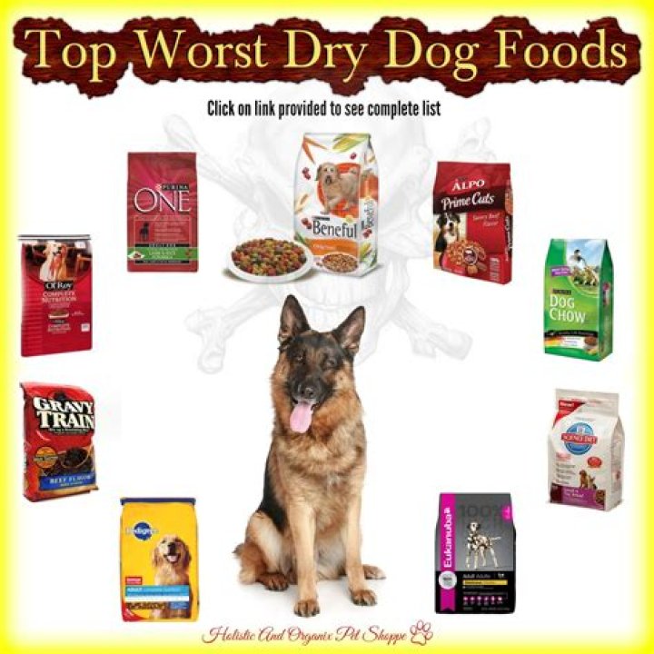 16 Worst Dog Food Brands To Avoid (+16 Top Choices) Puplore