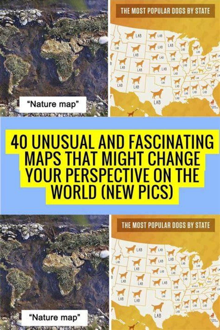 25 Unusual Maps That Might Change How You See The World