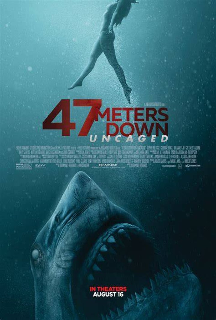 47 Meters Down Uncaged FilmRezensionen.de