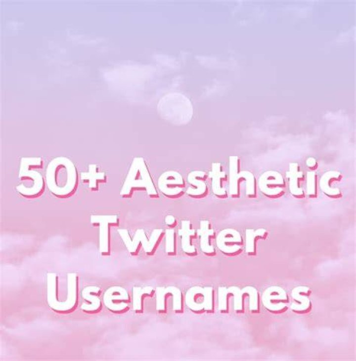 50 Aesthetic Twitter Usernames And Ideas The Ultimate List turbotech