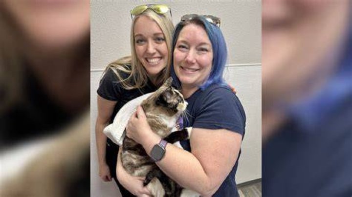 Amazon delivers a missing pet cat