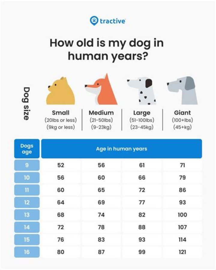 any1 got the dog years logo in high quality? r/zillakami
