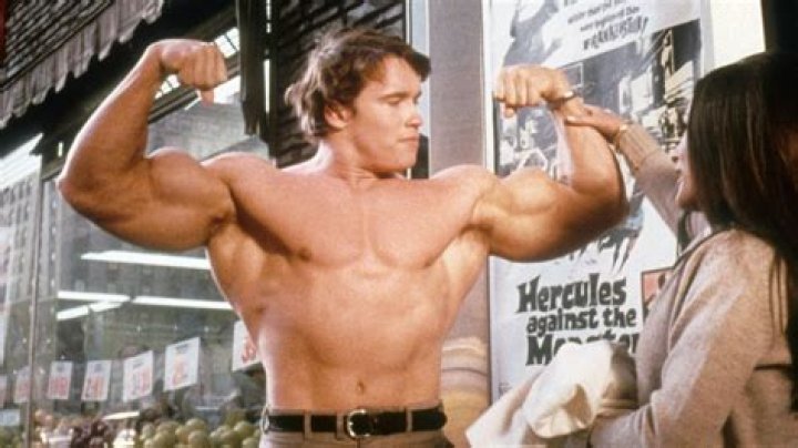 Arnold Schwarzenegger's Sons Patrick and Joseph Baena Spotted on Rare