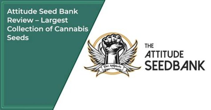 Attitude Seed Bank Review (Updated For 2024) My Experience Flower