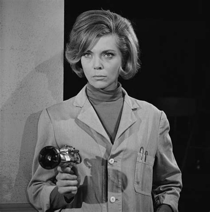 Barbara Bain Portrait photography tips, Old tv shows, Tv stars