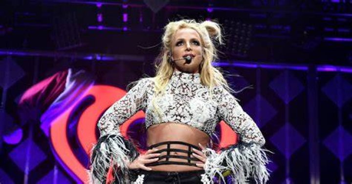 Britney Spears' kids with Kevin Federline Meet Sean Preston, Jayden