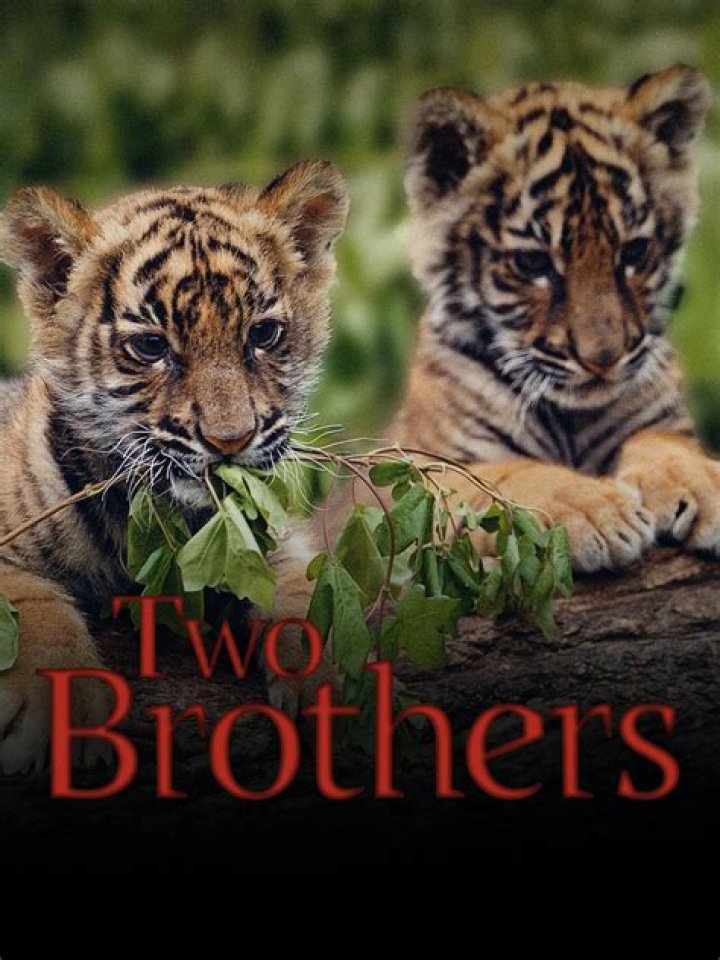 Bry and his two brothers Bryson tiller, Bryson tiller quotes, Tiller