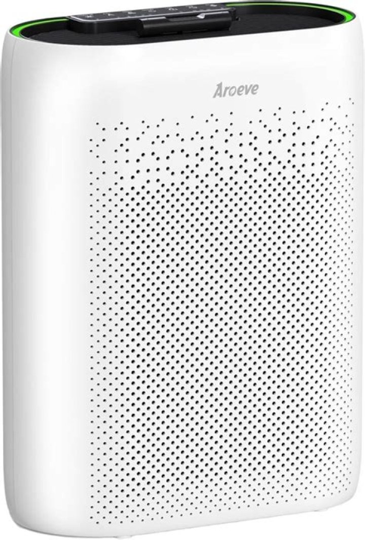 Buy AROEVE Air Purifiers for Home, HEPA Air Purifiers Air Cleaner For