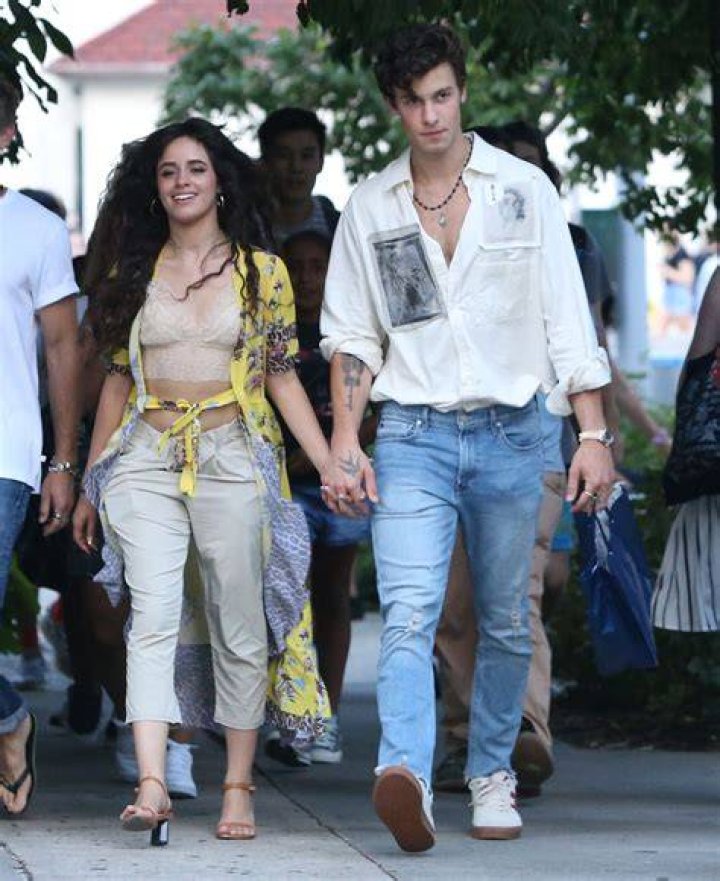 Camila Cabello Walks Hand in Hand with Boyfriend Austin Kevitch in LA