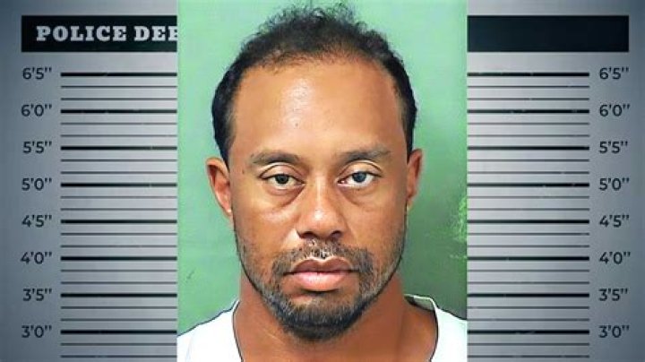 Celebrity mugshots Tiger Woods DUI the latest celebrity to get a mugshot