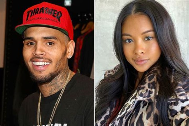 Chris Brown&rsquo;s model exgirlfriend Ammika Harris, 26, posts cute new