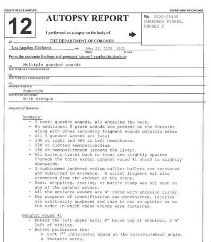 Coroner Releases Autopsy Reports for Kobe Bryant, Gianna Bryant and 7