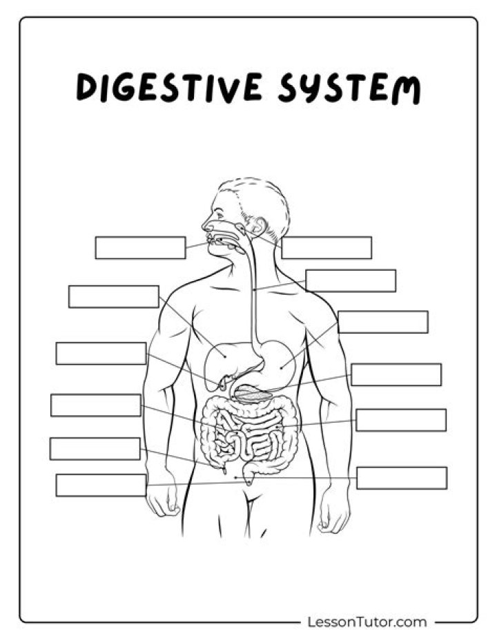 Digestive System Living Without Pain ( Harvey Diamond Fit For Life