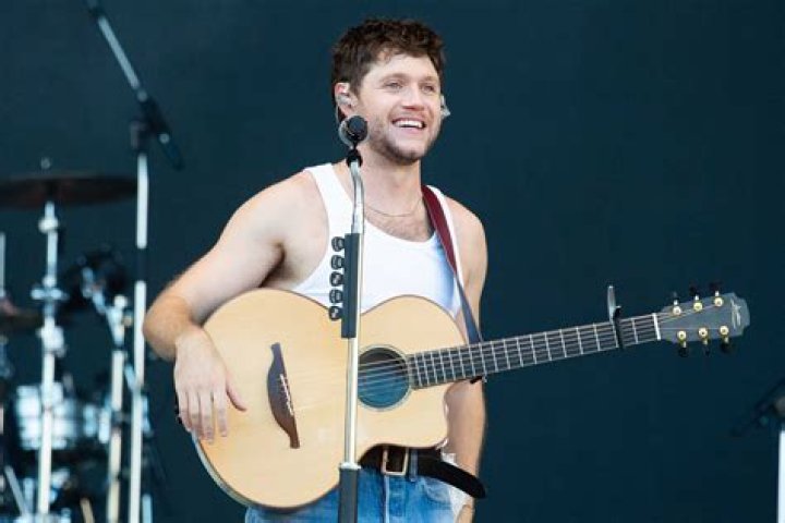 Does Niall Horan's Girlfriend Amelia Woolley Have A Relationship With