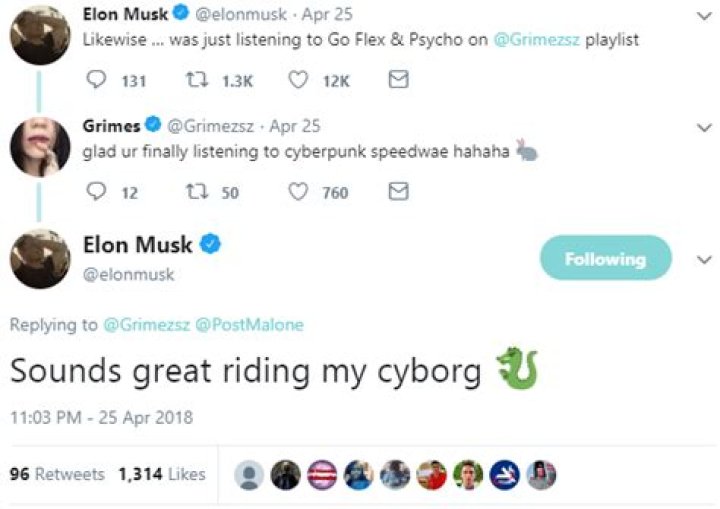 Elon Musk And Grimes Twitter Profile Picture