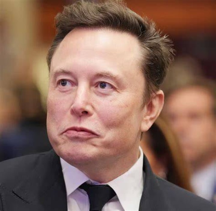 Elon Musk Says He's 'Pretty Sure There Are No Other Babies Looming'