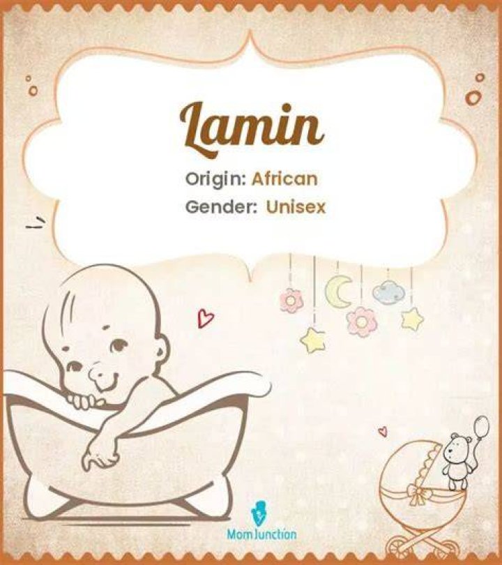 Explore Lamin Meaning, Origin & Popularity MomJunction