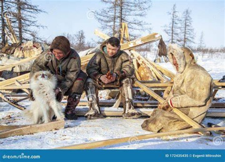 Far North of Yamal, Tundra, Pasture Nord Reindeers, Family of Reindeer