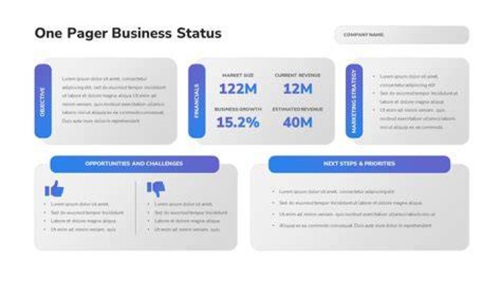 Financial Kpi One Pager Slide Company Snapshot Powerp vrogue.co