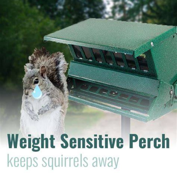 Heritage Farms Absolute II Squirrel Proof Bird Feeder