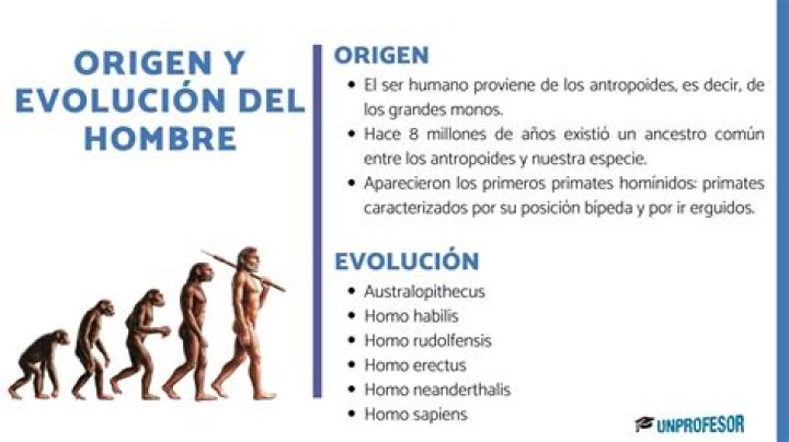 La historia del origen del Gallinazo en el programa de Paco Stanley