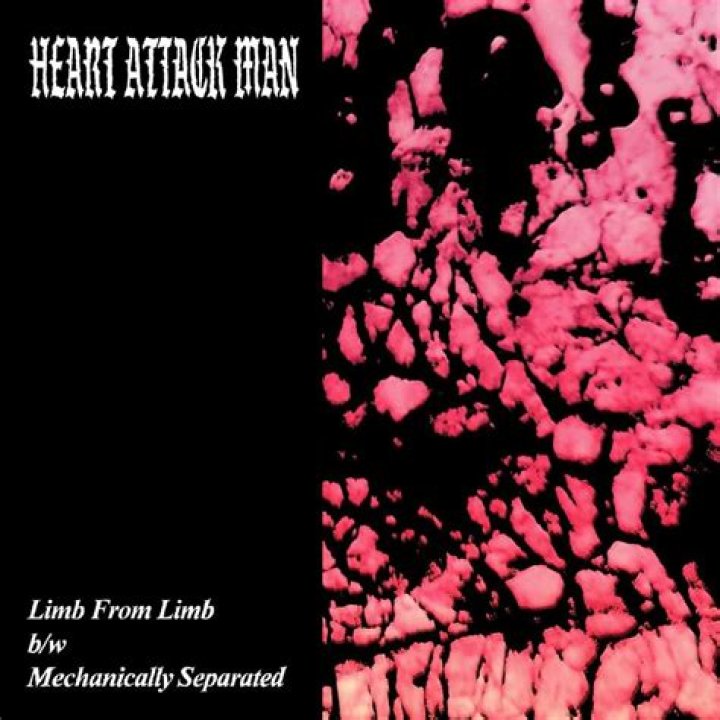 Limb From Limb Lyrics The Anatomy EP Only on JioSaavn
