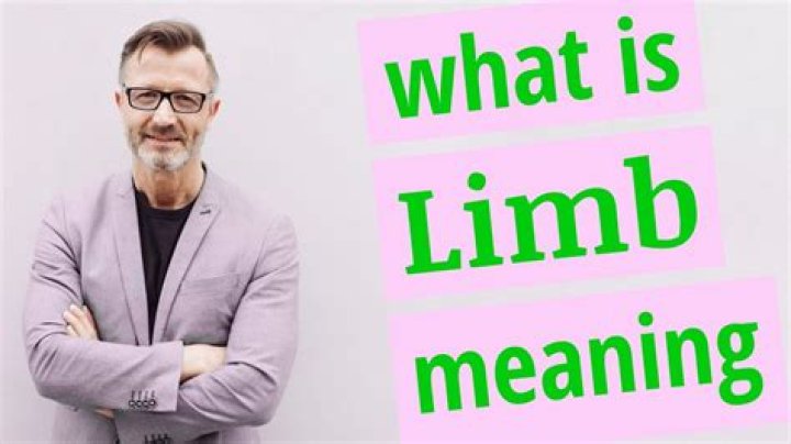 Limb meaning of Limb YouTube