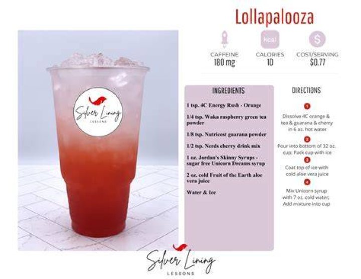 Lollapalooza is &lsquo;a recipe for disaster&rsquo; Northwestern Now