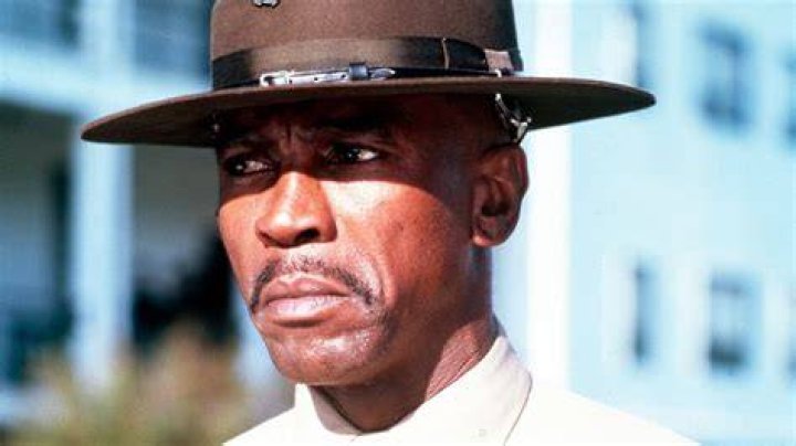 Louis Gossett Jr. Geena Davis Institute