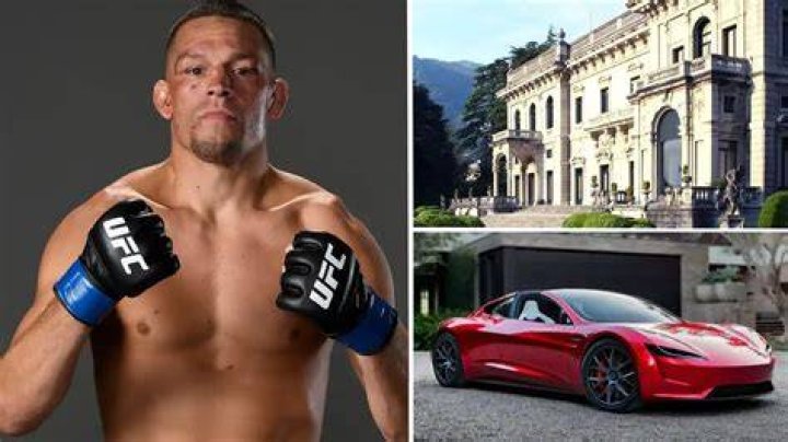 Nate Diaz Net Worth 2023 Company Salaries 2023
