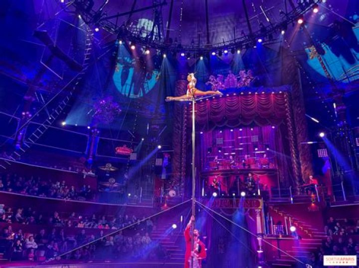 Nikki — CIRQUE