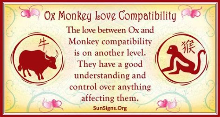 Ox Man Monkey Woman LongTerm Compatibility