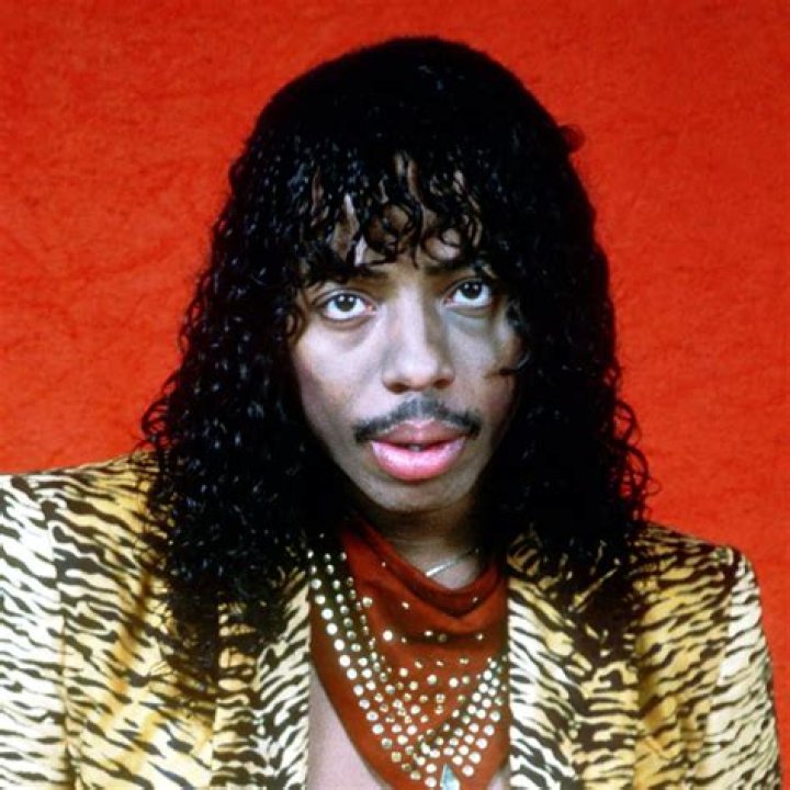 Rick James HairStyles Men Hair Styles Collection