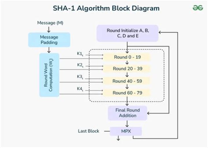 Sha'Carri RIchardson fails drug test, won't run 100m in Tokyo Olympics