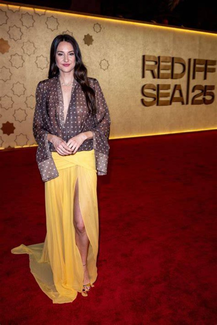 Shailene Woodley Red Carpet Photos 2013 Gotham Independent Film