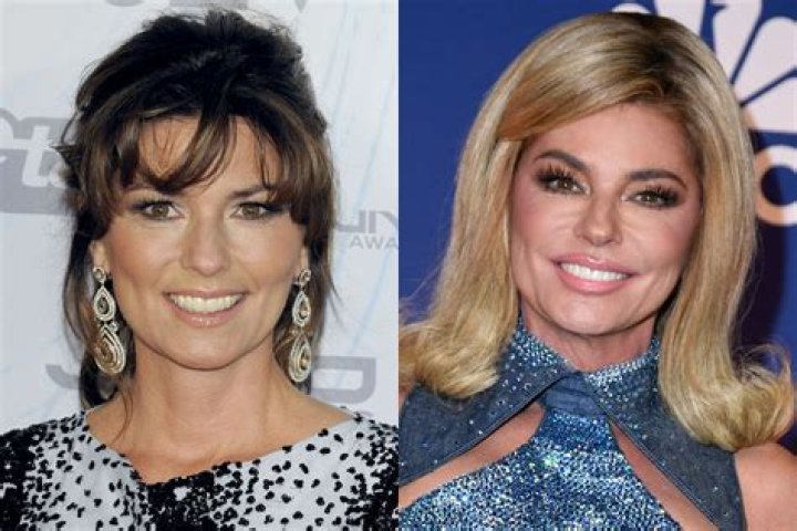 Shania Twain and Frédéric Thiébaud's Relationship Timeline