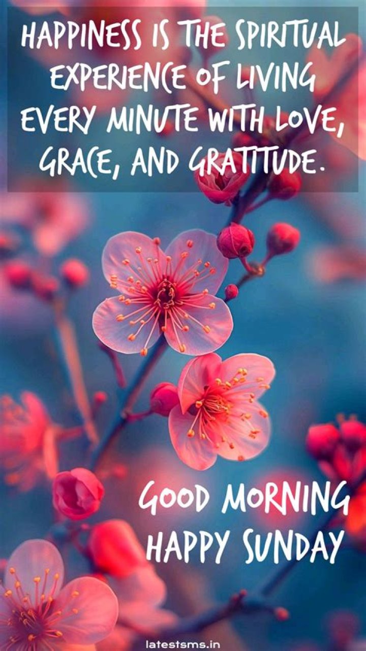 Sunday Happy sunday quotes, Good morning happy sunday, Good morning