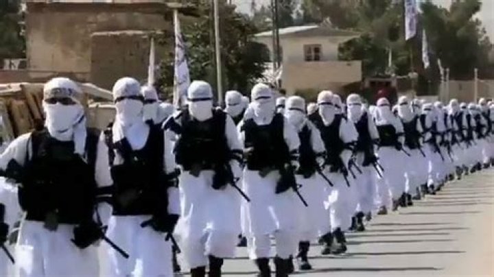 Taliban 'Worried About Andrew Tate' as They Ask for His Freedom Newsweek