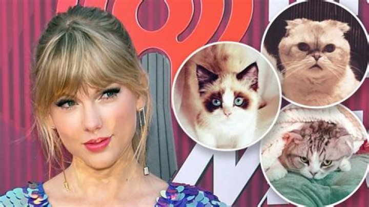 Taylor Swift Cats Breed