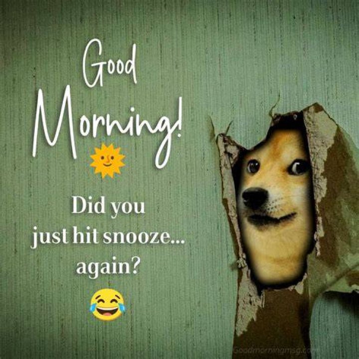 The Ultimate Collection Of Hilarious Good Morning Memes
