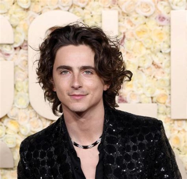 Timothée Chalamet Will Do His Own Singing In Bob Dylan Biopic 'A