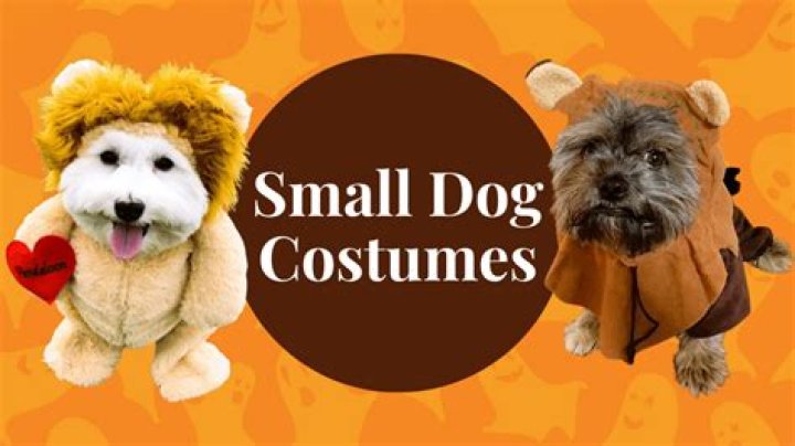 Top Small Dog Halloween Costumes From Amazon HGTV Diy Dog Costumes