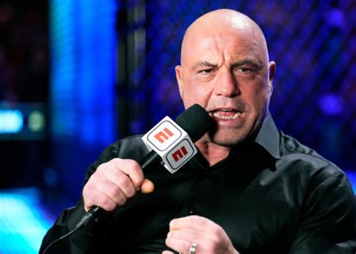 What Did Joe Rogan Say About Brittney Griner