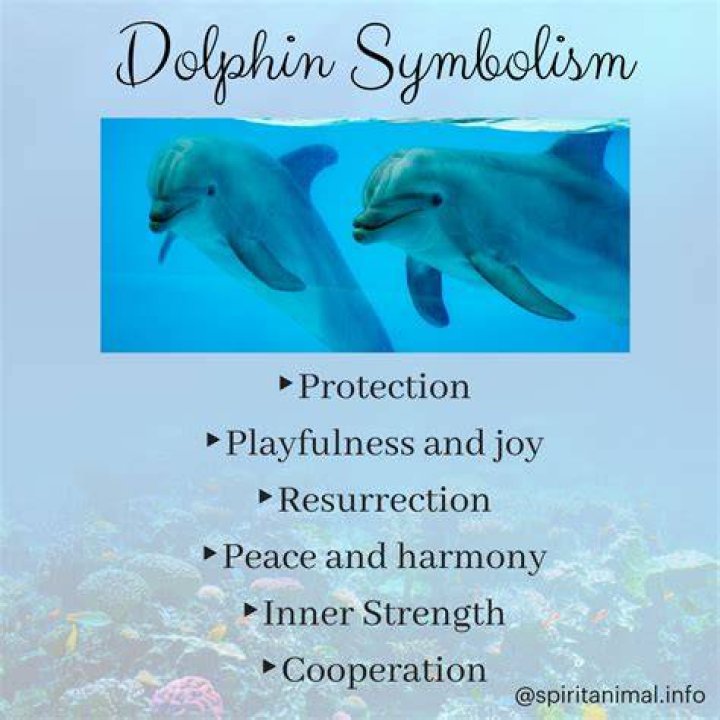 What Do Dolphins Mean Spiritually Spirit Restoration