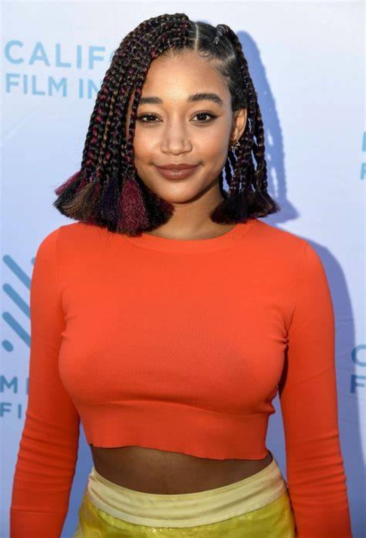 Who Are Amandla Stenberg's Parents? These Are the Details