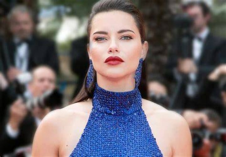 Who Is Adriana Lima's Boyfriend? All About Andre Lemmers
