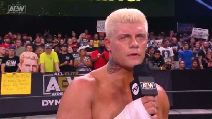 Who Is AEW Wrestler Cody Rhodes' Wife? Get to Know Brandi Rhodes