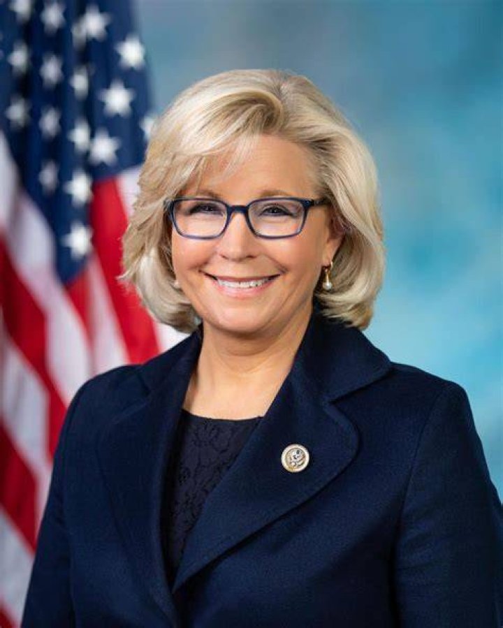 Who is Liz Cheney's husband Philip Perry? A look at her marriage and